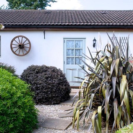 Ashton Cottages チェダー エクステリア 写真