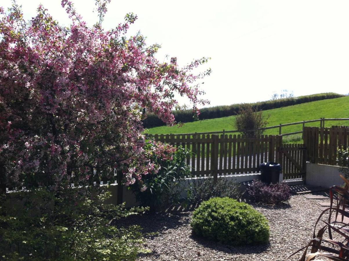 Ashton Cottages チェダー エクステリア 写真